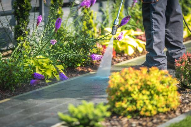 Best Pre-Holiday Cleaning  in Lawnside, NJ